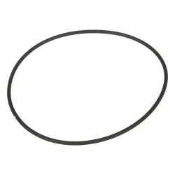 New Holland O-RING          * Part #69122