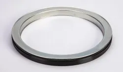 New Holland SEAL, RING       Part #84150634