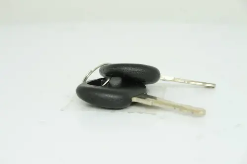 Image 14 for #84989693 KEY, IGNITION