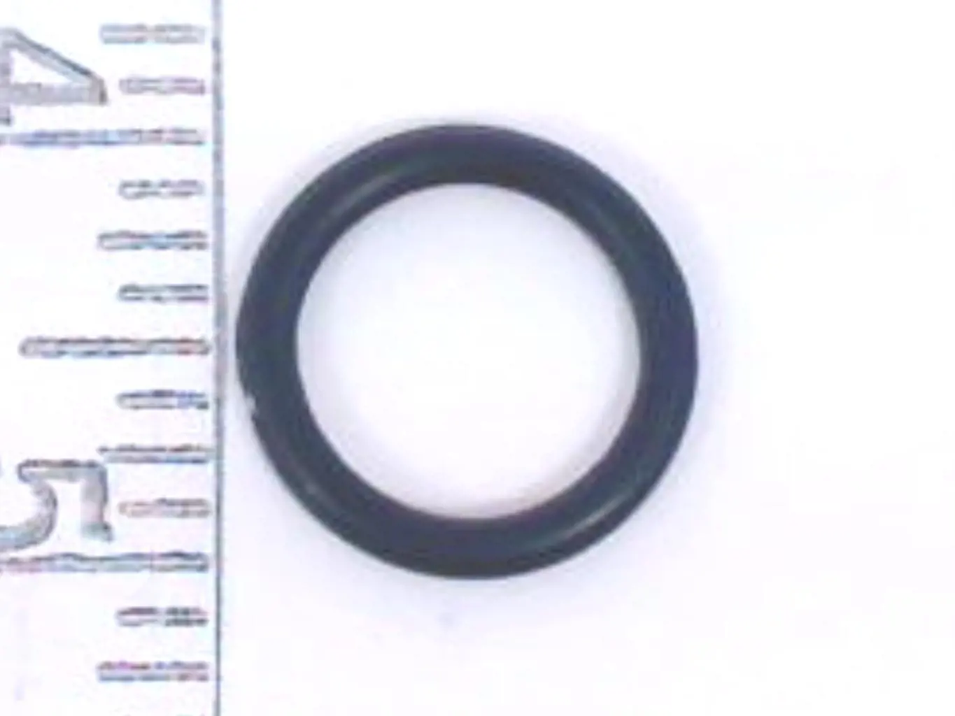 Image 1 for #86528546 O-RING