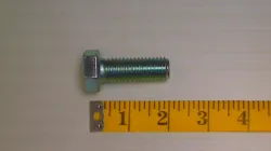 モアナ　チロスケ　様 モアナのとこに遊びに行く準備🦀🦅🌺