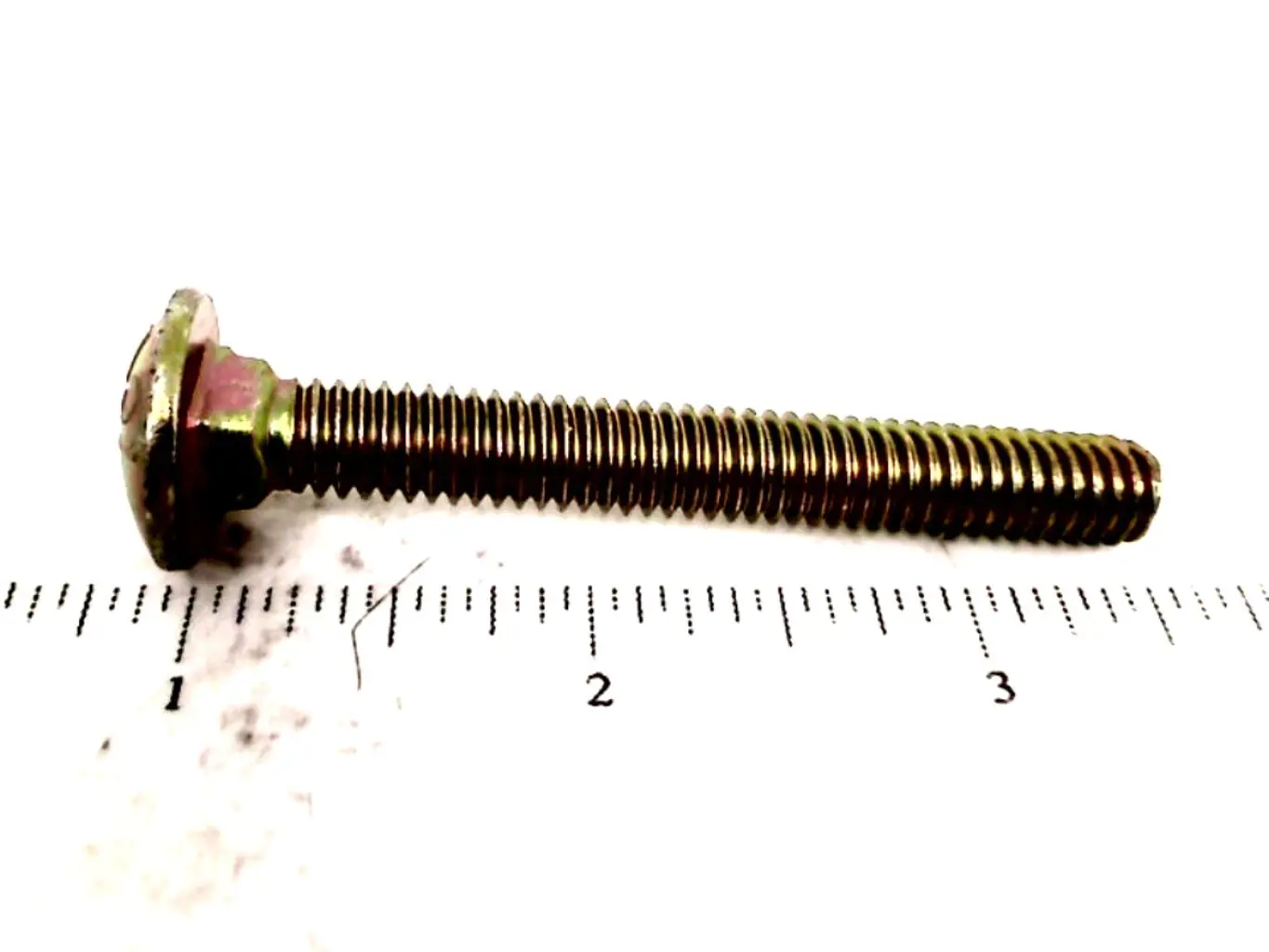 Image 1 for #280622 CARRIAGE BOLT