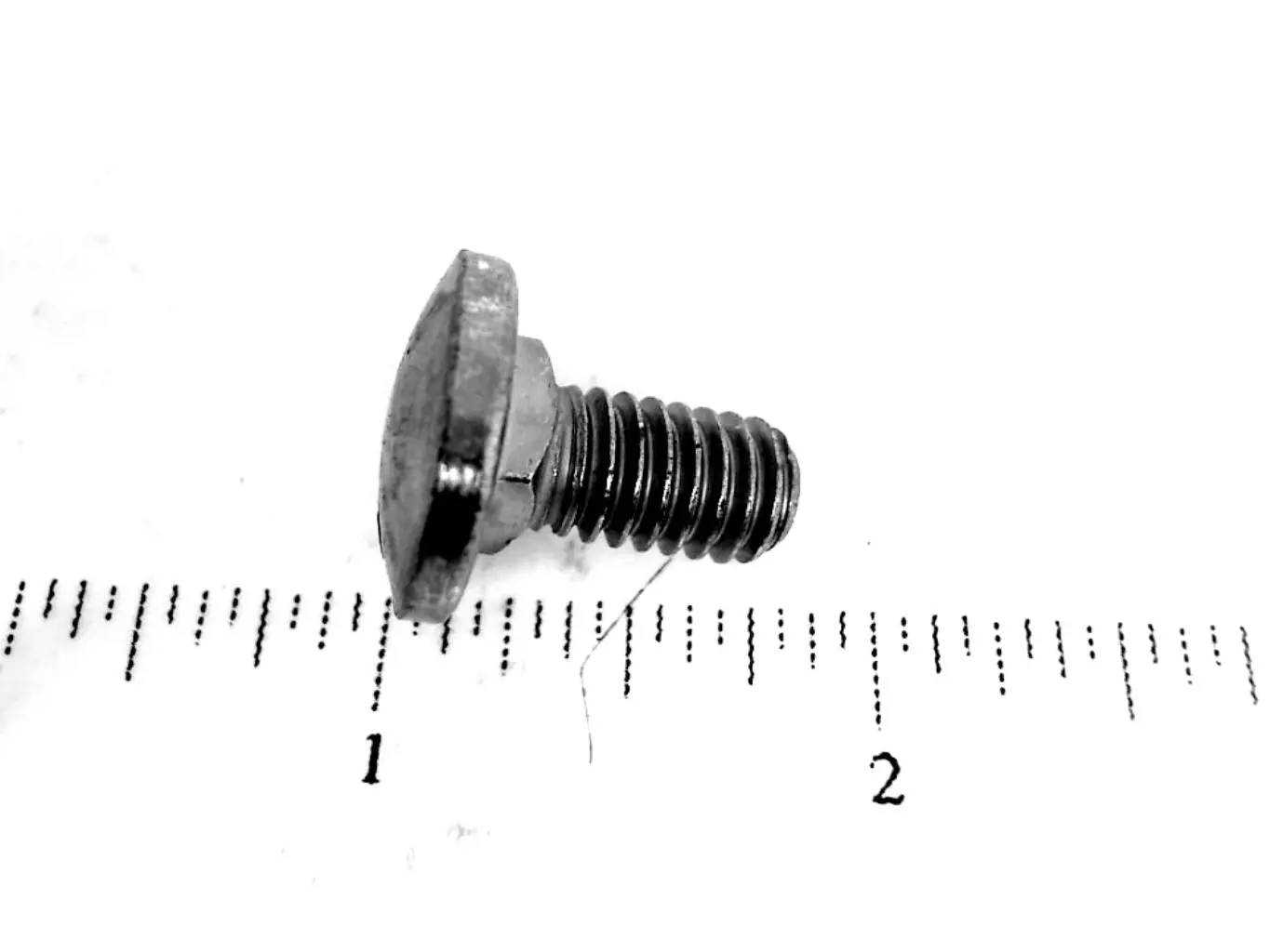 Image 1 for #280647 CARRIAGE BOLT