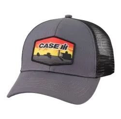 Case IH #LG8216459 SHOE