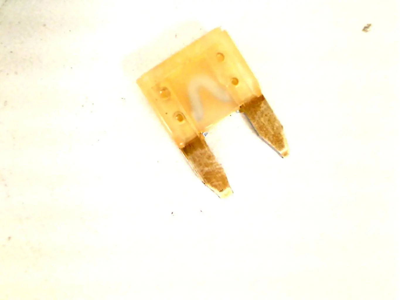 Image 1 for #10401290 FUSE