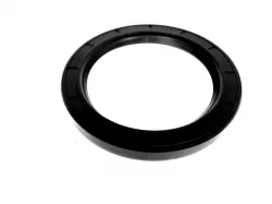 New Holland RING Part #220021